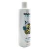 BILLY JEALOUSY - Make Your Mark Fresh Tattoo Wash 020284 473ml/16oz